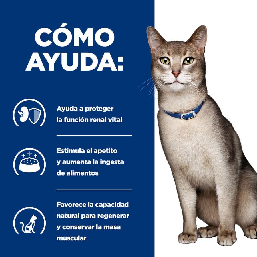 12 sobres x 85 g Hill's Prescription k/d Diet Kidney Care Salm&oacute;n sobre en salsa para gatos, , large Imagen numero 5